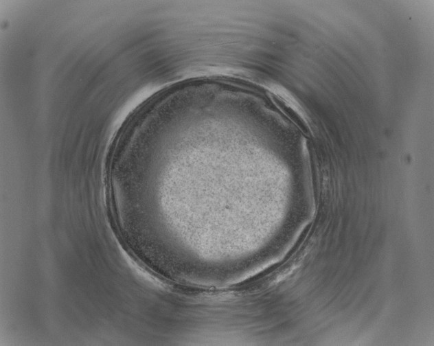 X0000073891143200609011647