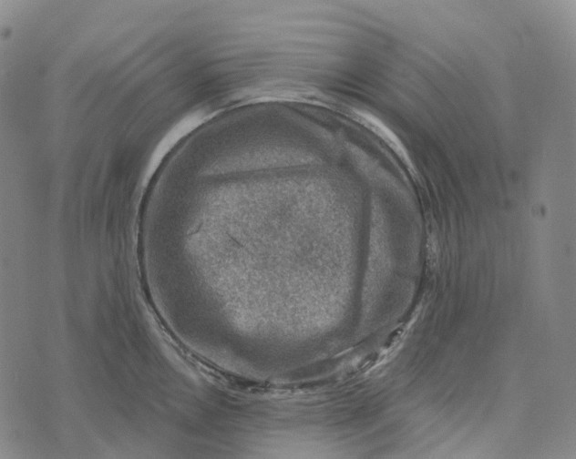 X0000073891146200609011647