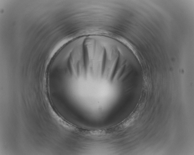 X0000073891147200609011647