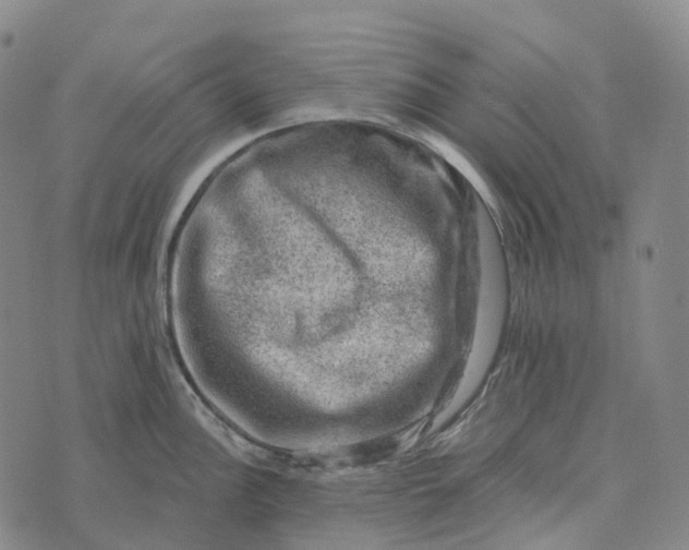 X0000073891148200609011647