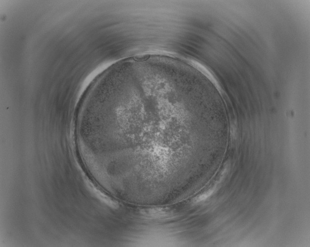 X0000073891149200609011647