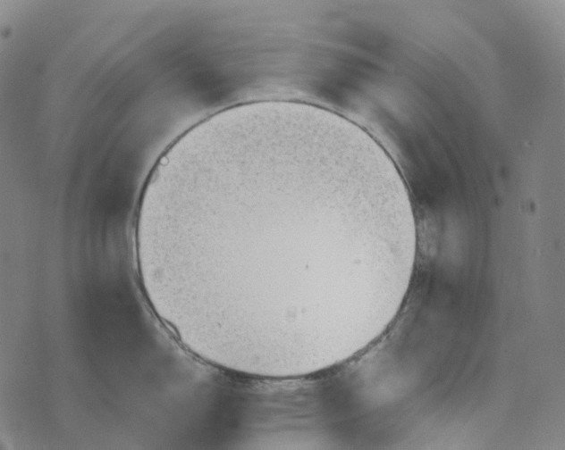 X0000073891150200609011647