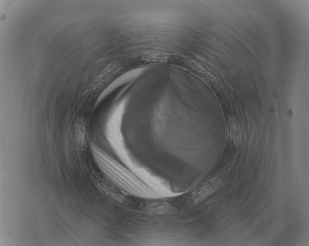 X0000073891154200609011646