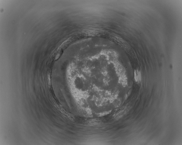 X0000073891155200609011646