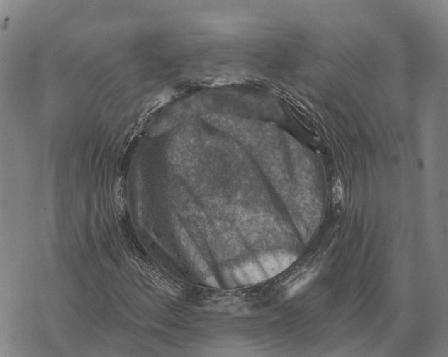 X0000073891156200609011646