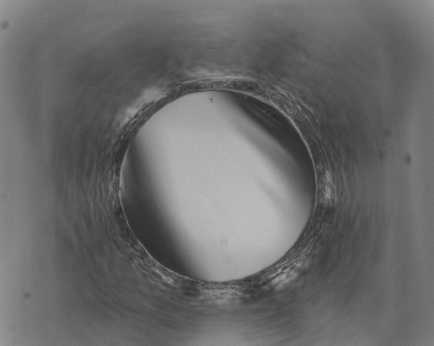 X0000073891157200609011646