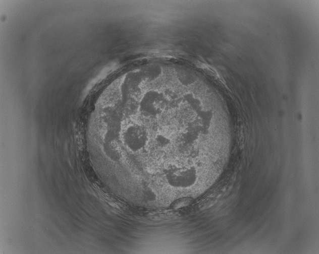 X0000073891159200609011646