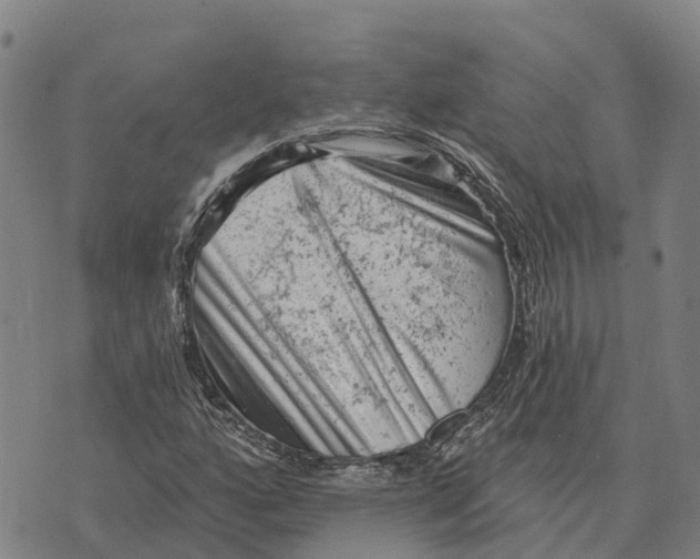 X0000073891160200609011646