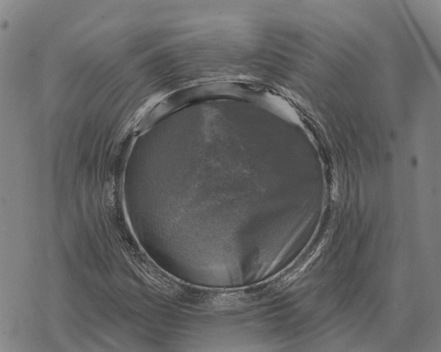 X0000073891161200609011646