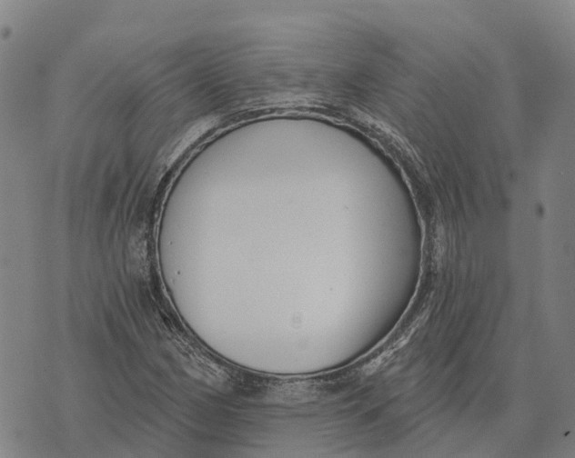 X0000073891162200609011646