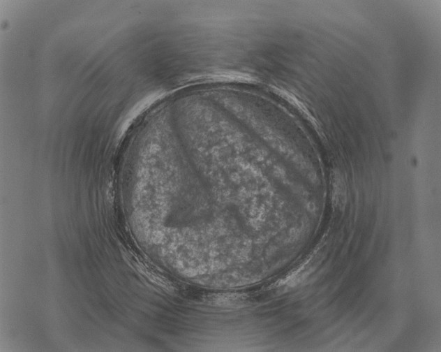 X0000073891163200609011646