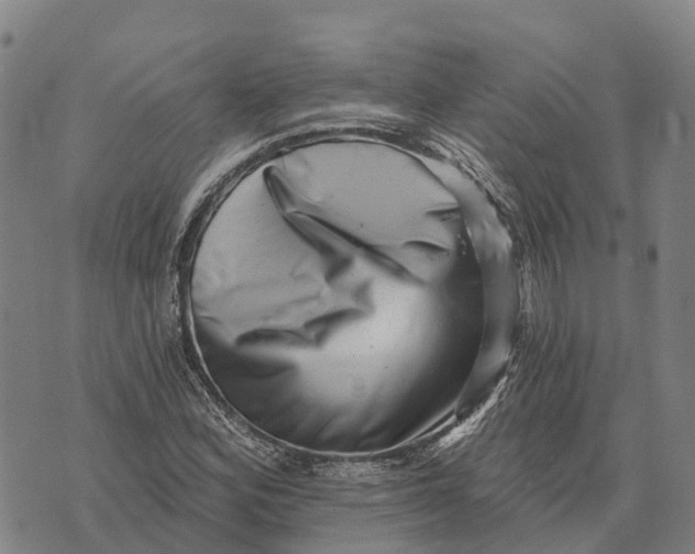 X0000073891164200609011646