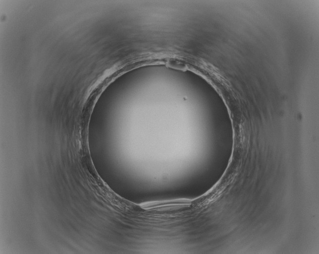 X0000073891165200609011646