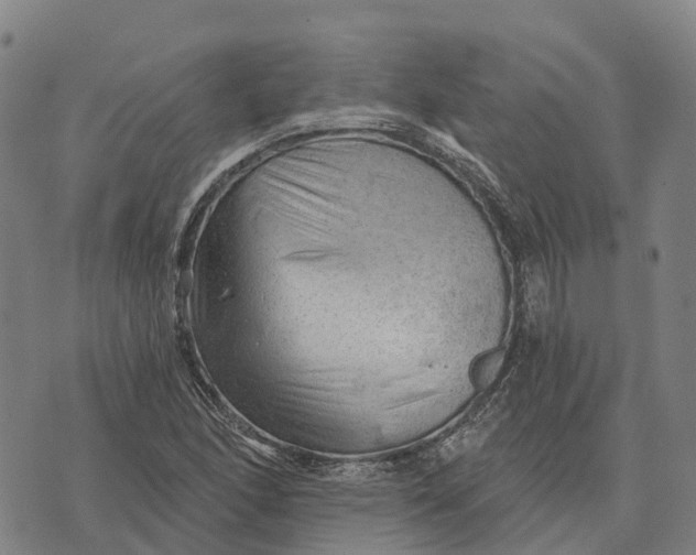 X0000073891166200609011646