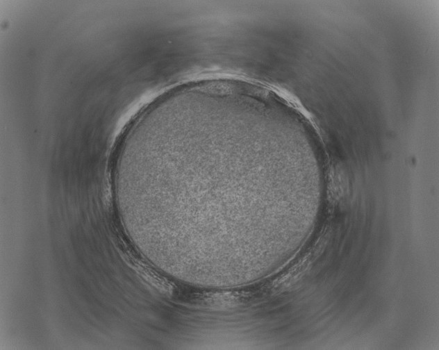 X0000073891167200609011646