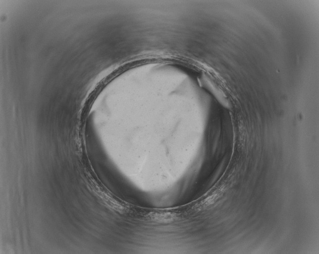 X0000073891168200609011646