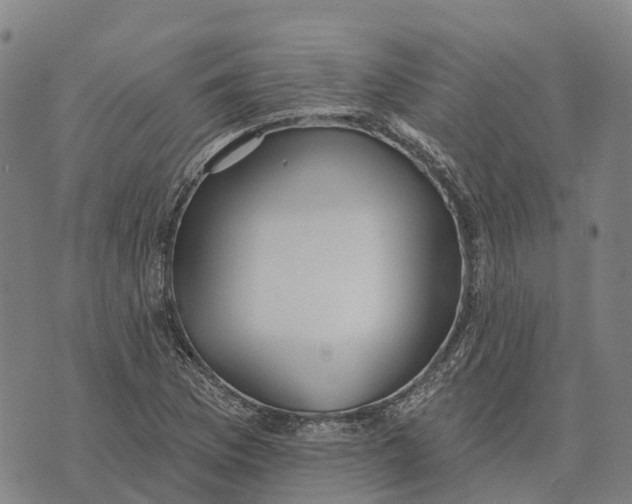 X0000073891169200609011646