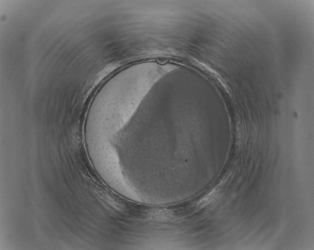 X0000073891170200609011646