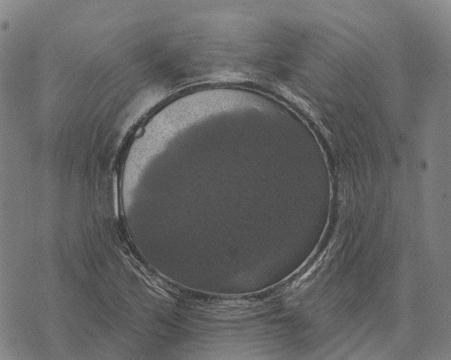 X0000073891171200609011646