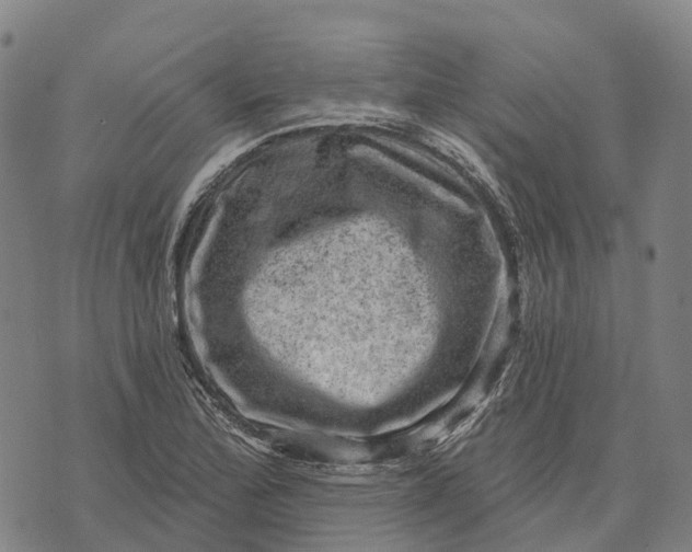 X0000073891172200609011646