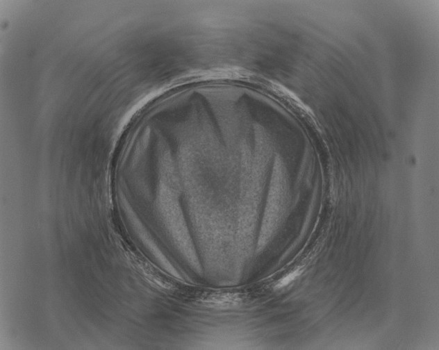 X0000073891174200609011646