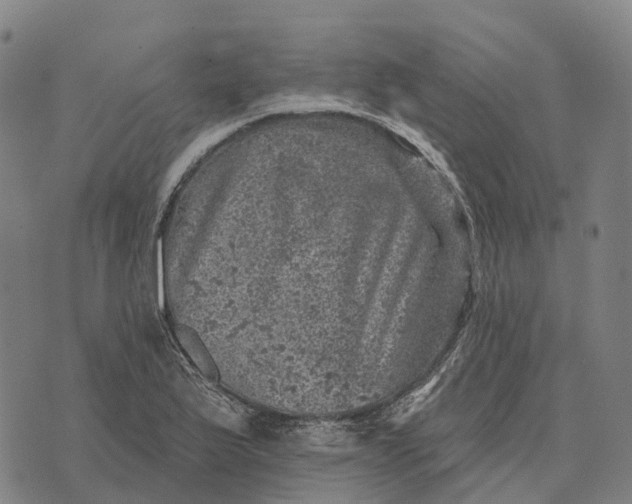 X0000073891175200609011646