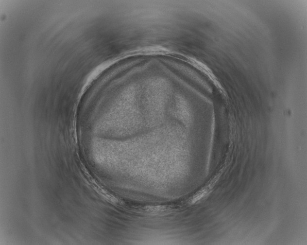 X0000073891176200609011646