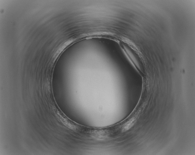 X0000073891177200609011646