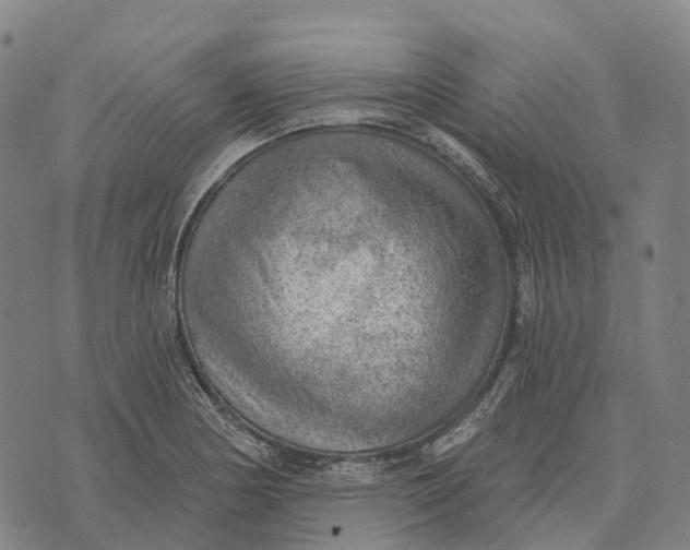 X0000073891178200609011646