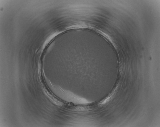 X0000073891179200609011645