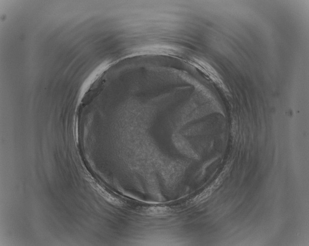 X0000073891180200609011645