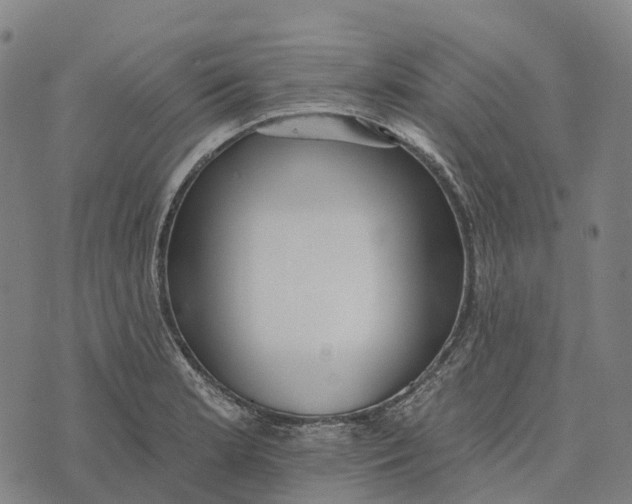 X0000073891181200609011645