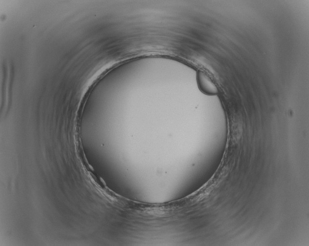 X0000073891182200609011645