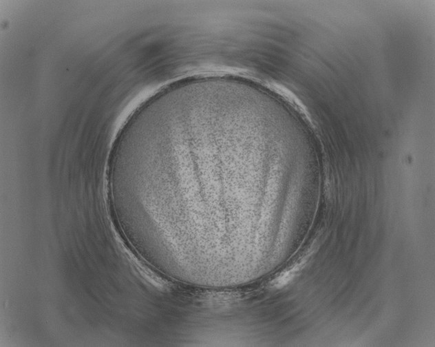 X0000073891183200609011645