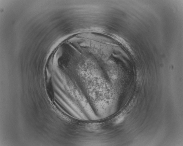 X0000073891184200609011645