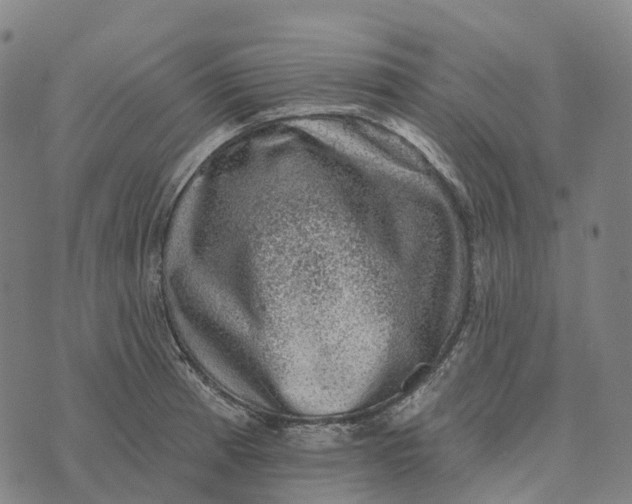 X0000073891185200609011645