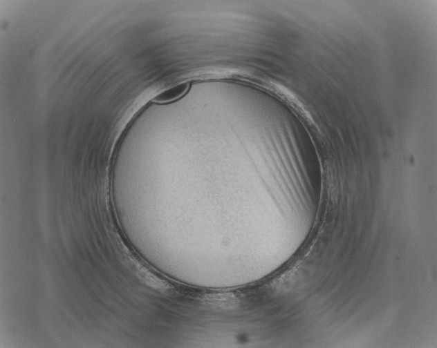 X0000073891186200609011645