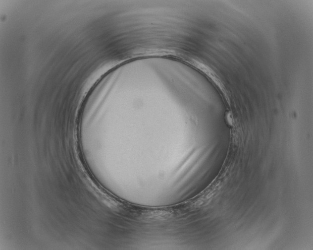 X0000073891187200609011645