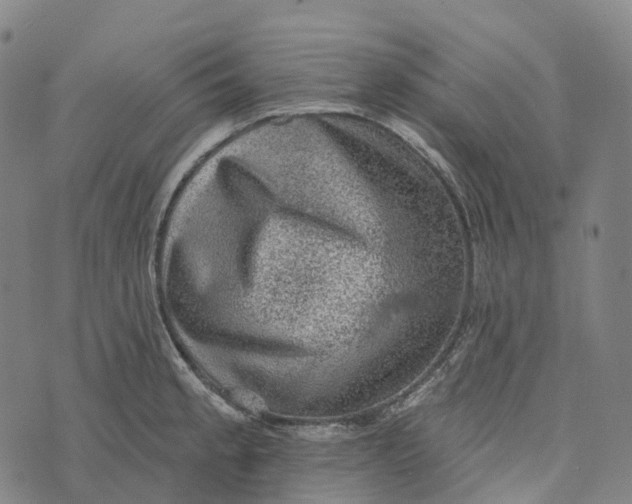 X0000073891189200609011645