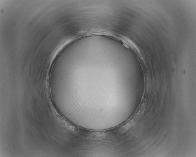 X0000073891190200609011645