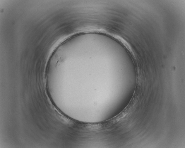 X0000073891191200609011645