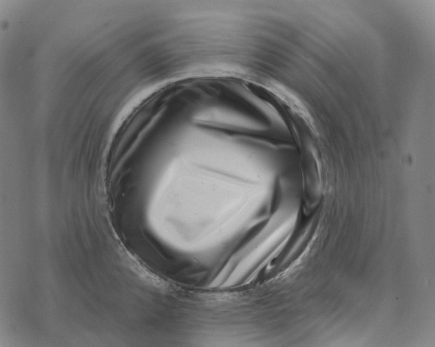 X0000073891192200609011645