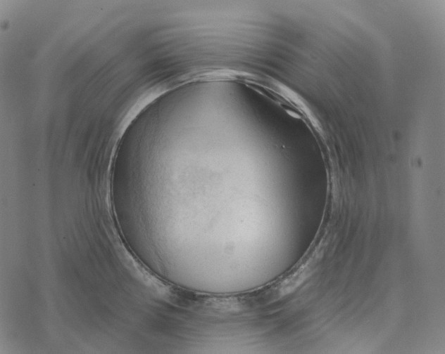 X0000073891194200609011645