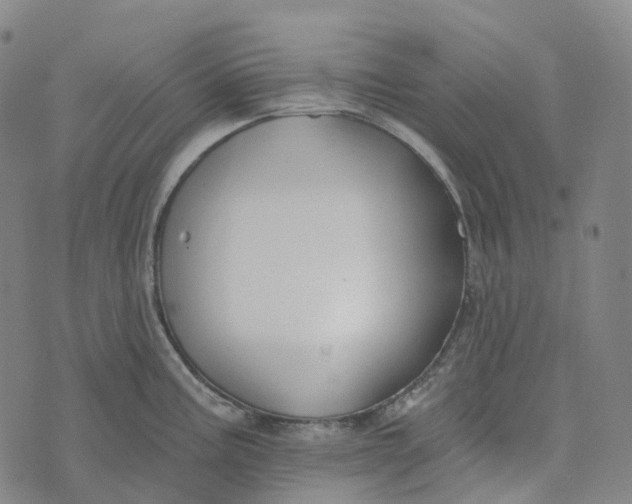 X0000073891195200609011645