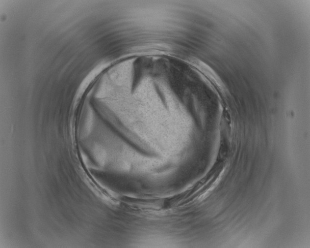 X0000073891196200609011645