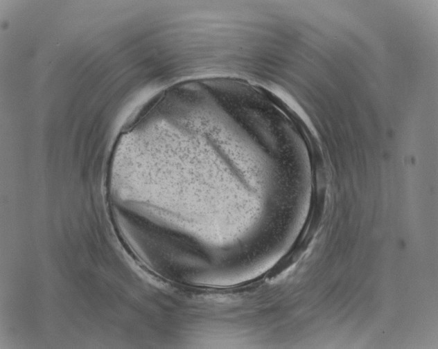 X0000073891197200609011645