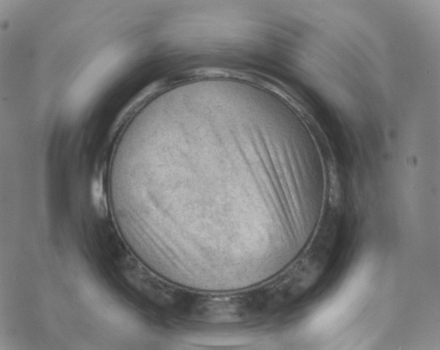 X0000073891198200609011645