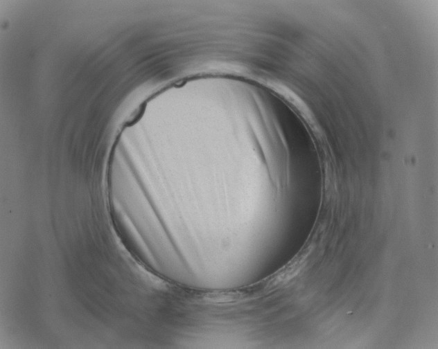 X0000073891199200609011645