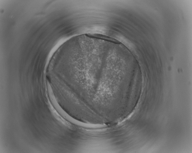 X0000073891200200609011645