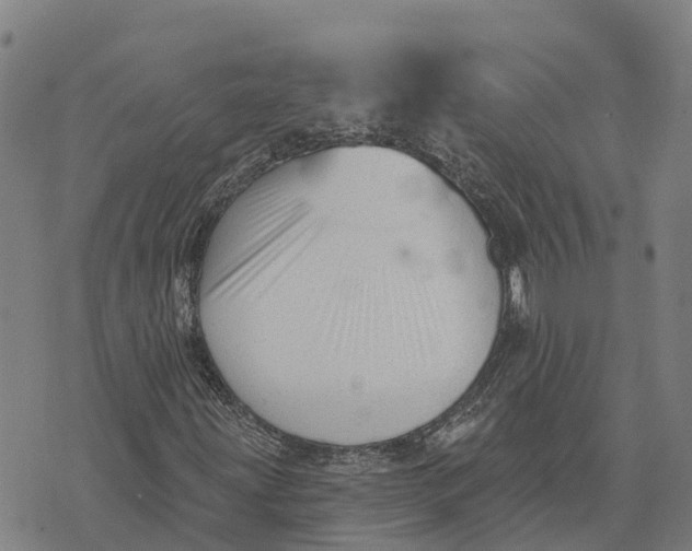 X0000073891203200609011644